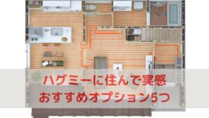 一条工務店ハグミーに住んでみて感じた採用してよかったオプション５つ